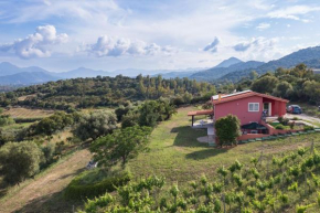 La Collina degli Ulivi Bari Sardo